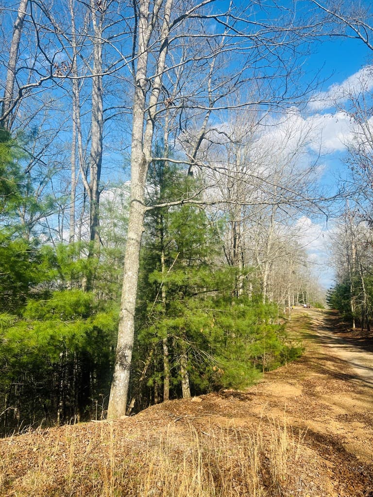 00 Ford Lane, Murphy NC 28906 - Photo