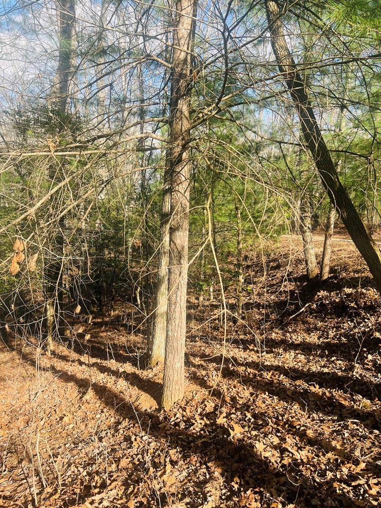 00 Ford Lane, Murphy NC 28906 - Photo