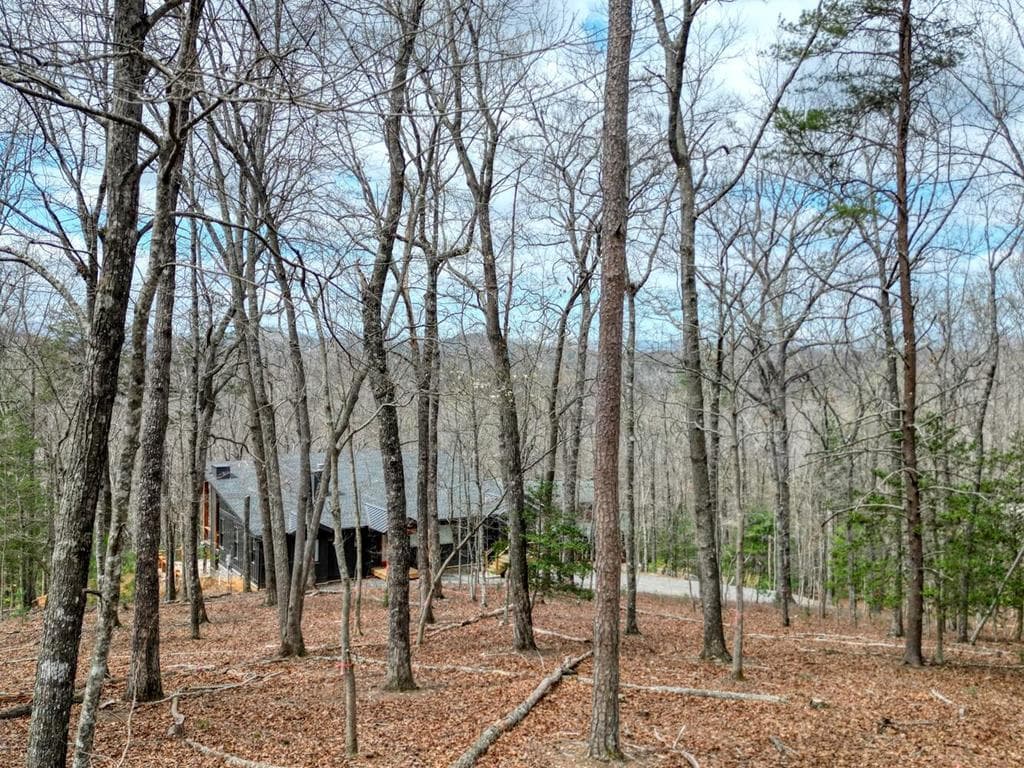 Lot 25 Cross Creek, Mineral Bluff GA 30559 - Photo