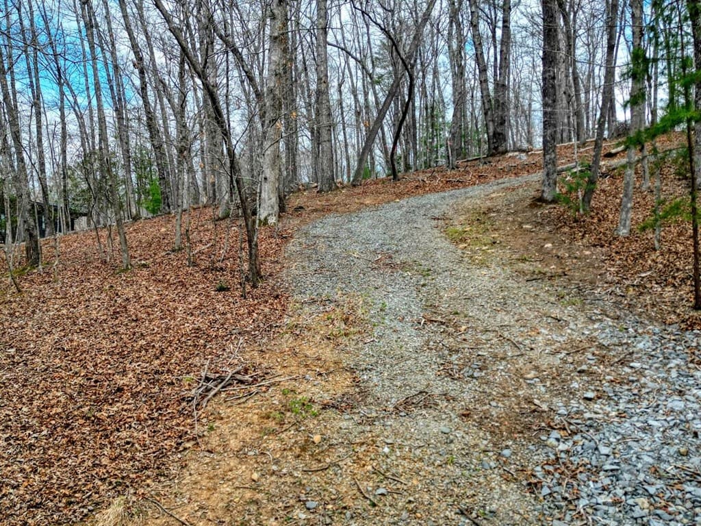 Lot 25 Cross Creek, Mineral Bluff GA 30559 - Photo