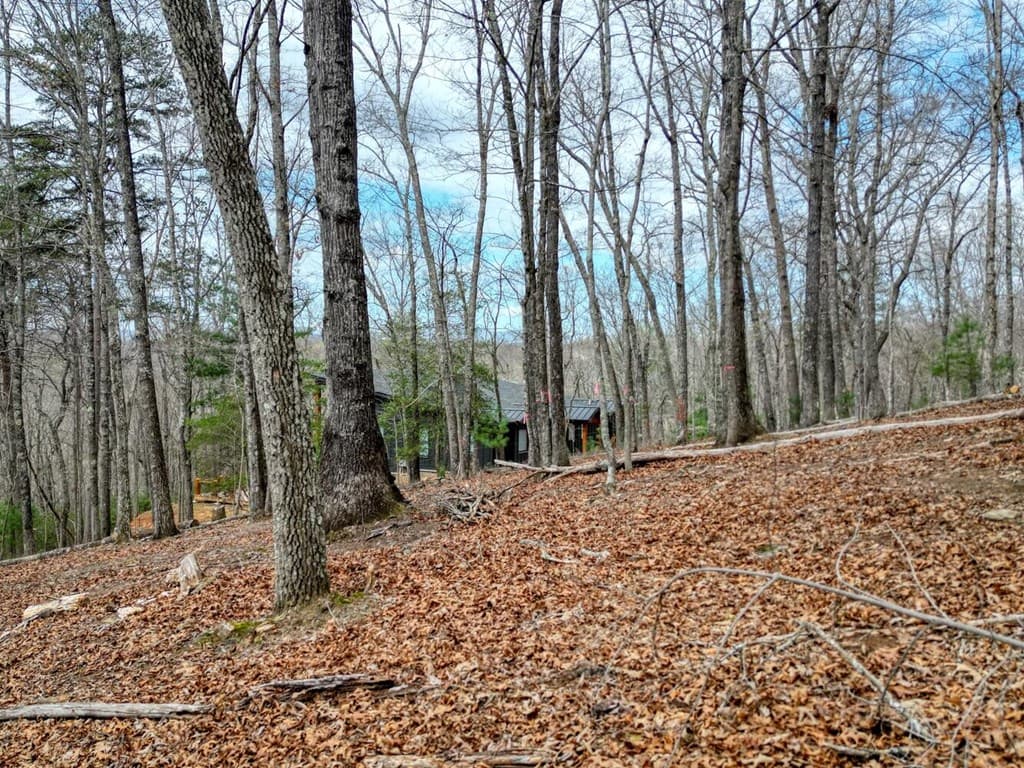 Lot 25 Cross Creek, Mineral Bluff GA 30559 - Photo