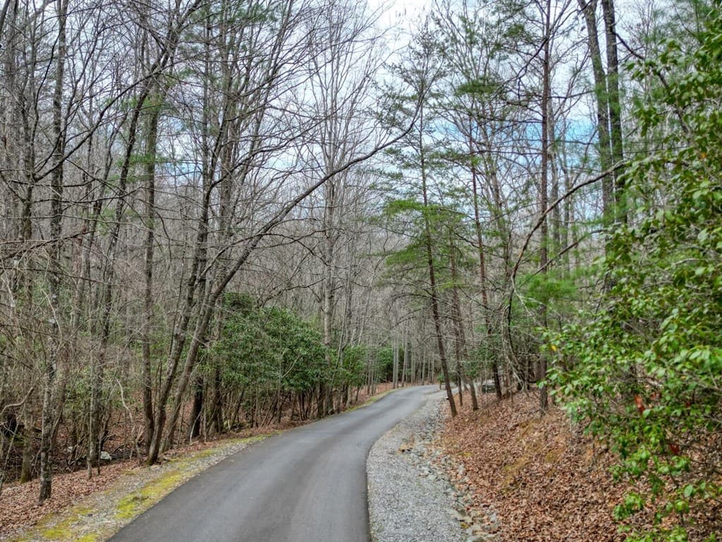 Lot 25 Cross Creek, Mineral Bluff GA 30559 - Photo