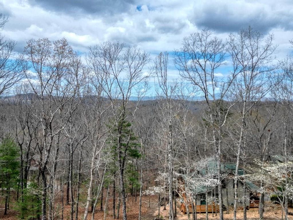 Lot 25 Cross Creek, Mineral Bluff GA 30559 - Primary photo