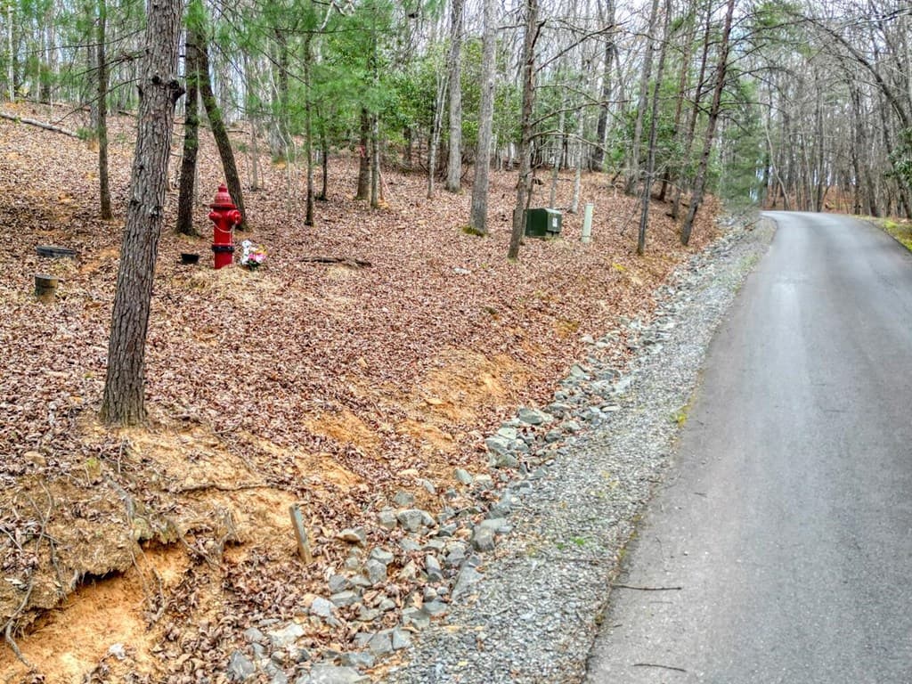 Lot 25 Cross Creek, Mineral Bluff GA 30559 - Photo
