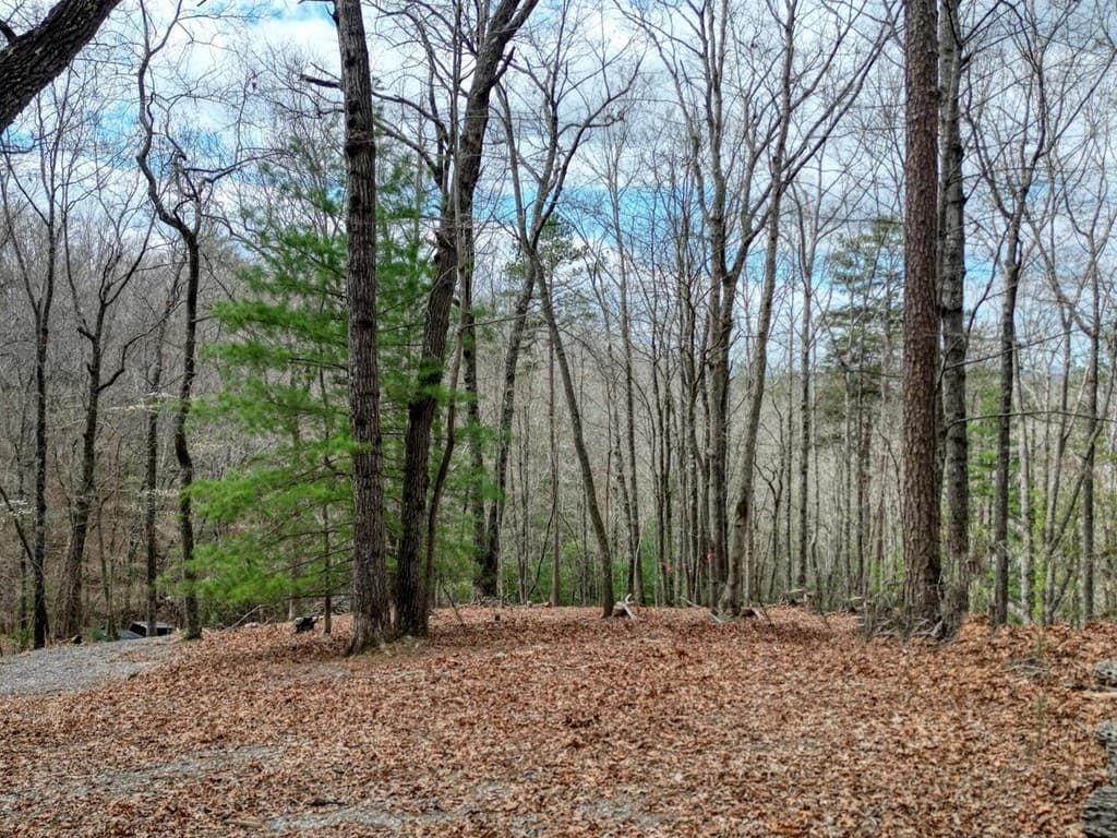 Lot 25 Cross Creek, Mineral Bluff GA 30559 - Photo