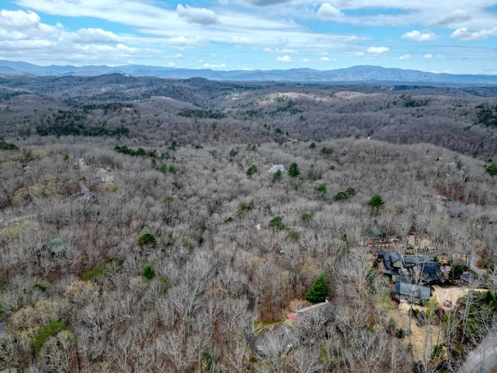 Lot 25 Cross Creek, Mineral Bluff GA 30559 - Photo