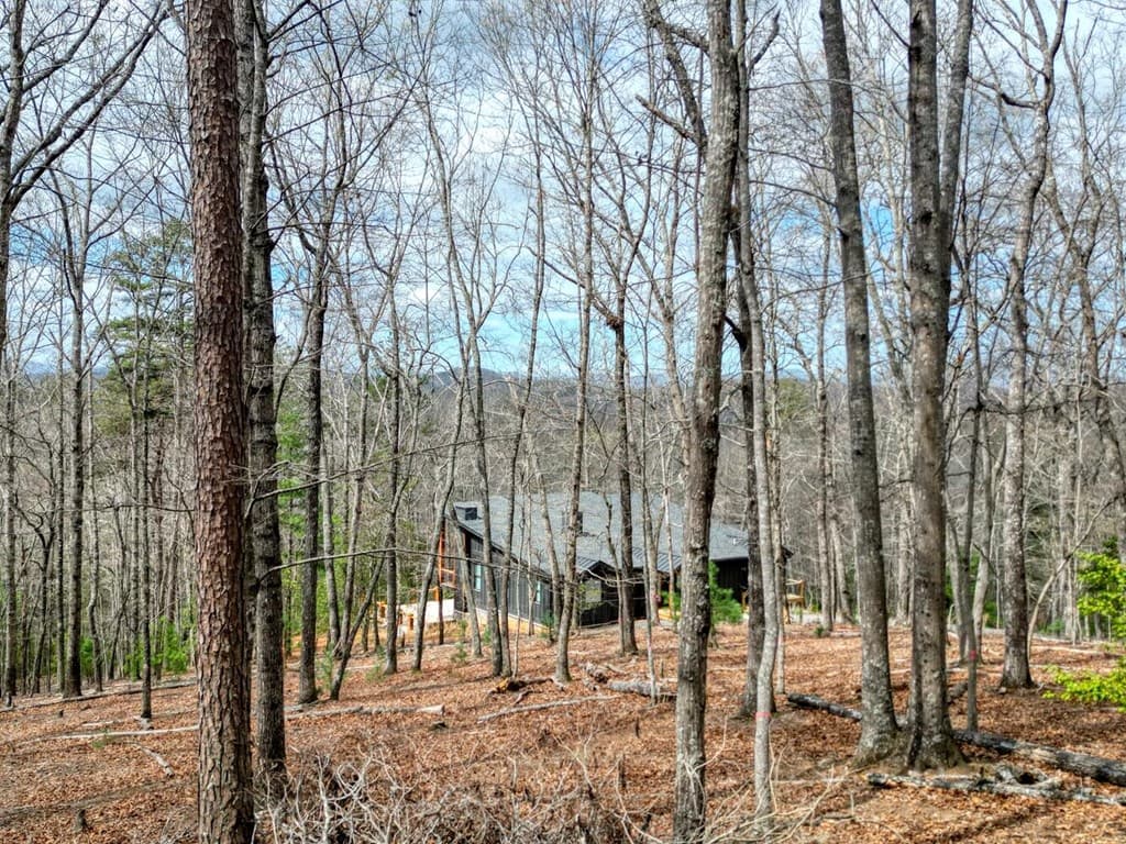 Lot 25 Cross Creek, Mineral Bluff GA 30559 - Photo