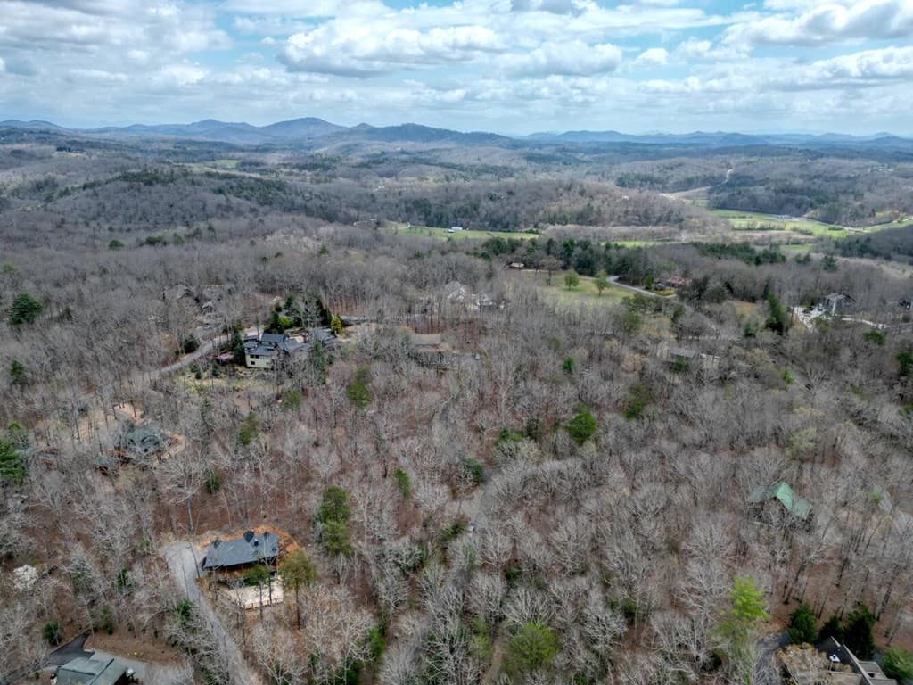 Lot 25 Cross Creek, Mineral Bluff GA 30559 - Photo