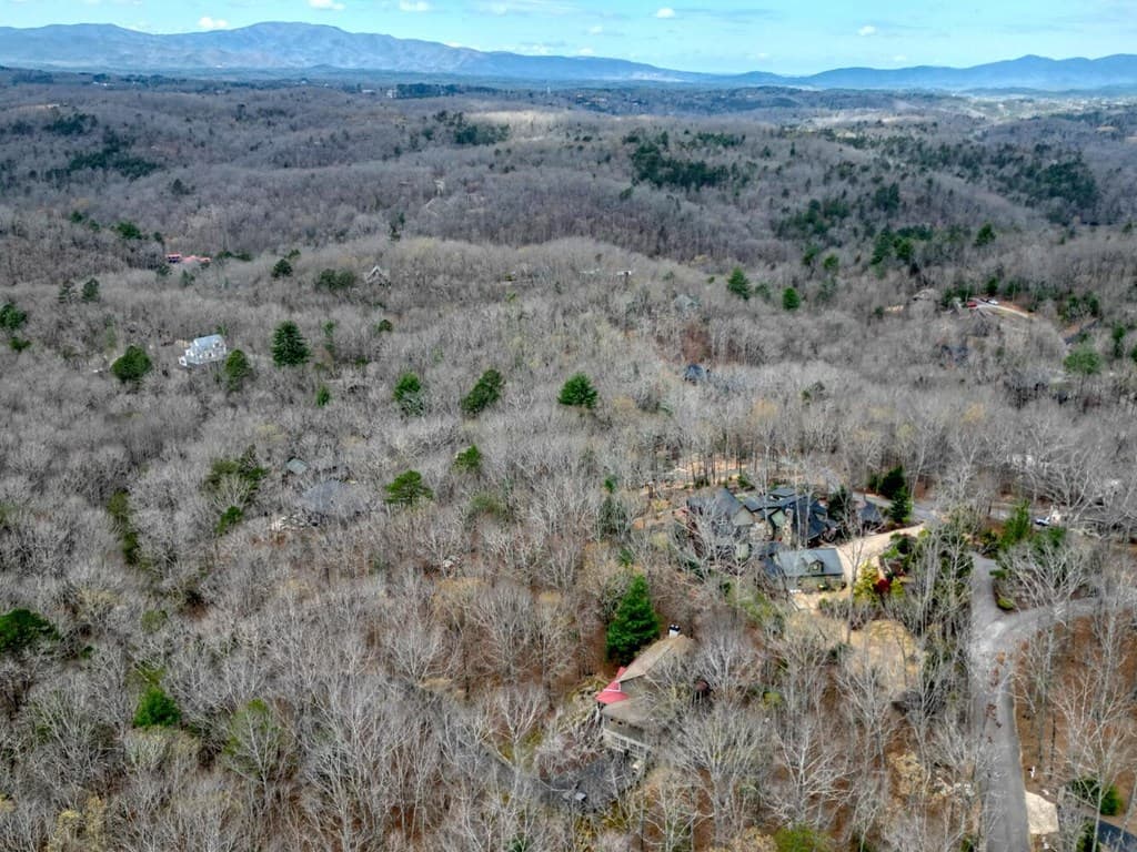 Lot 25 Cross Creek, Mineral Bluff GA 30559 - Photo