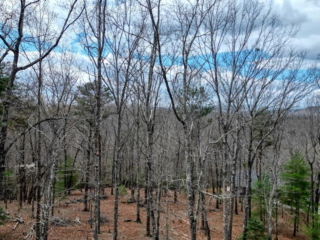 Lot 25 Cross Creek, Mineral Bluff GA 30559 - Photo
