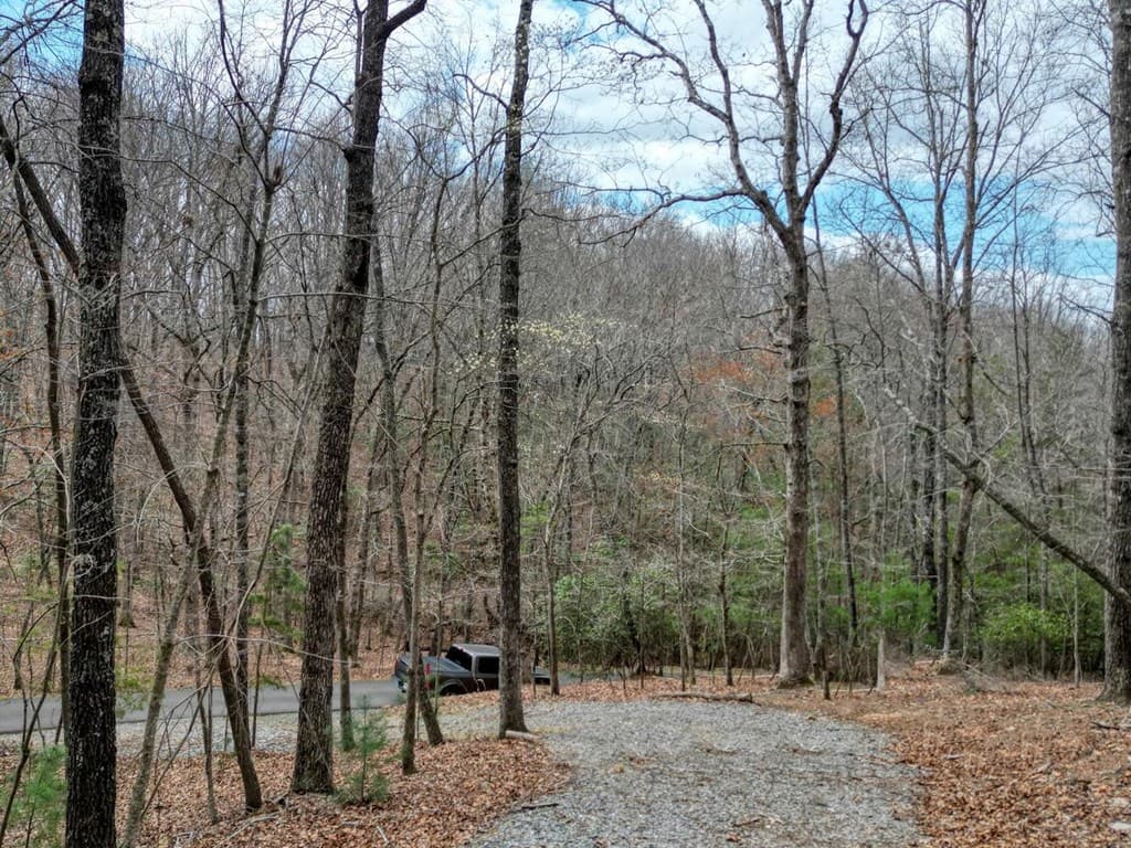 Lot 25 Cross Creek, Mineral Bluff GA 30559 - Photo