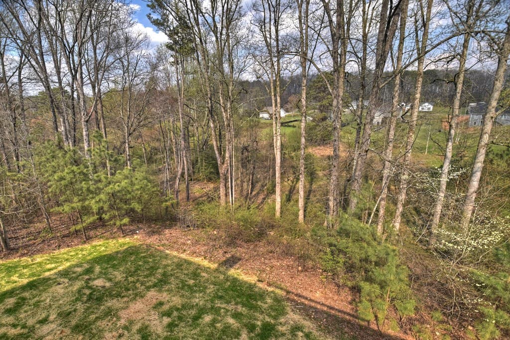 186 Meadow Circle, Ellijay GA 30540 - Photo