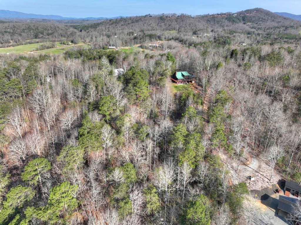 500 Evening Shade Walk, Mineral Bluff GA 30559 - Photo