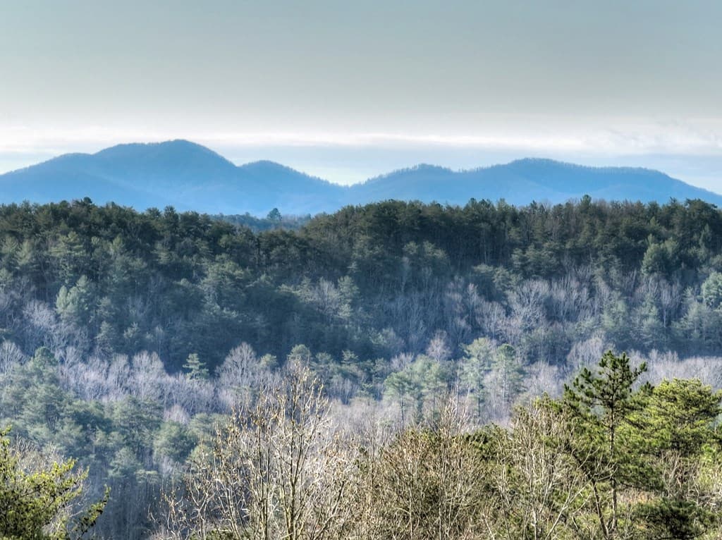 500 Evening Shade Walk, Mineral Bluff GA 30559 - Photo