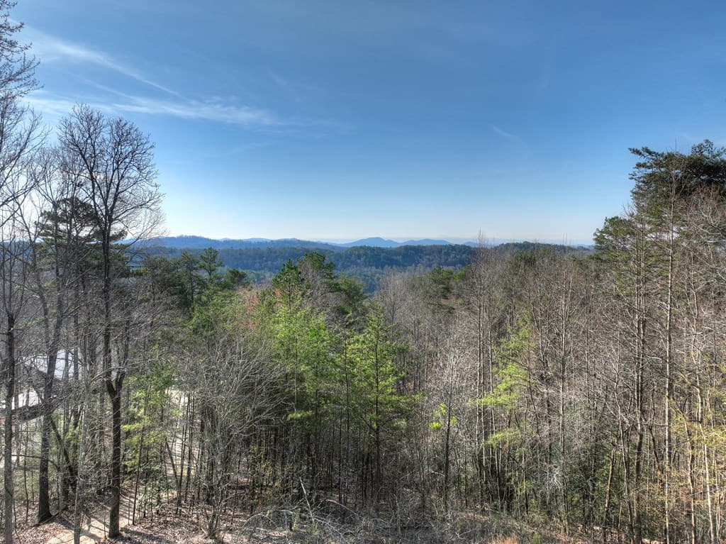 500 Evening Shade Walk, Mineral Bluff GA 30559 - Photo