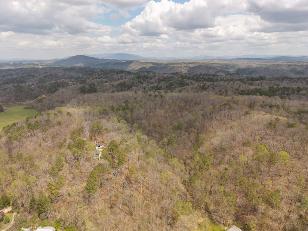 134 Nicholson Lane, Talking Rock GA 30175 - Photo