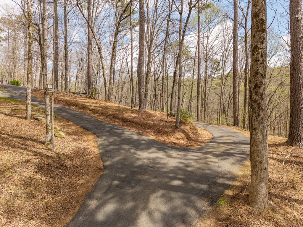 134 Nicholson Lane, Talking Rock GA 30175 - Photo