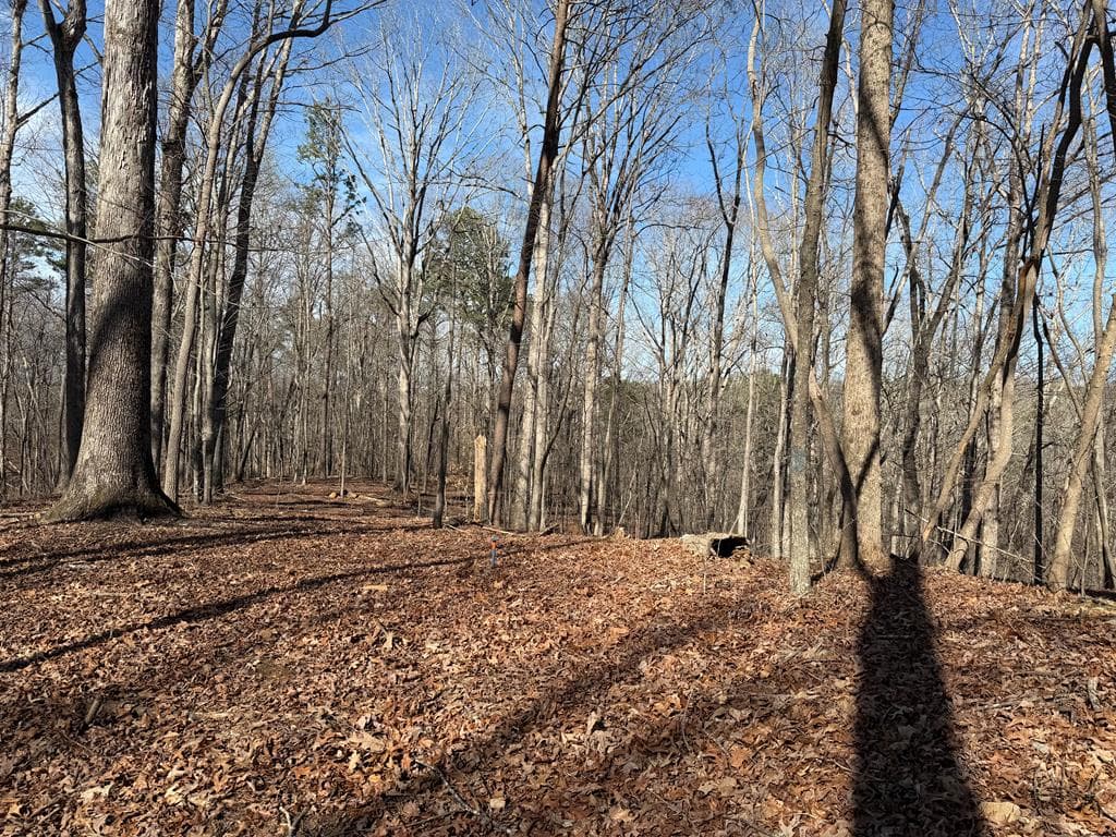 131 Nicholson Lane, Talking Rock GA 30175 - Photo