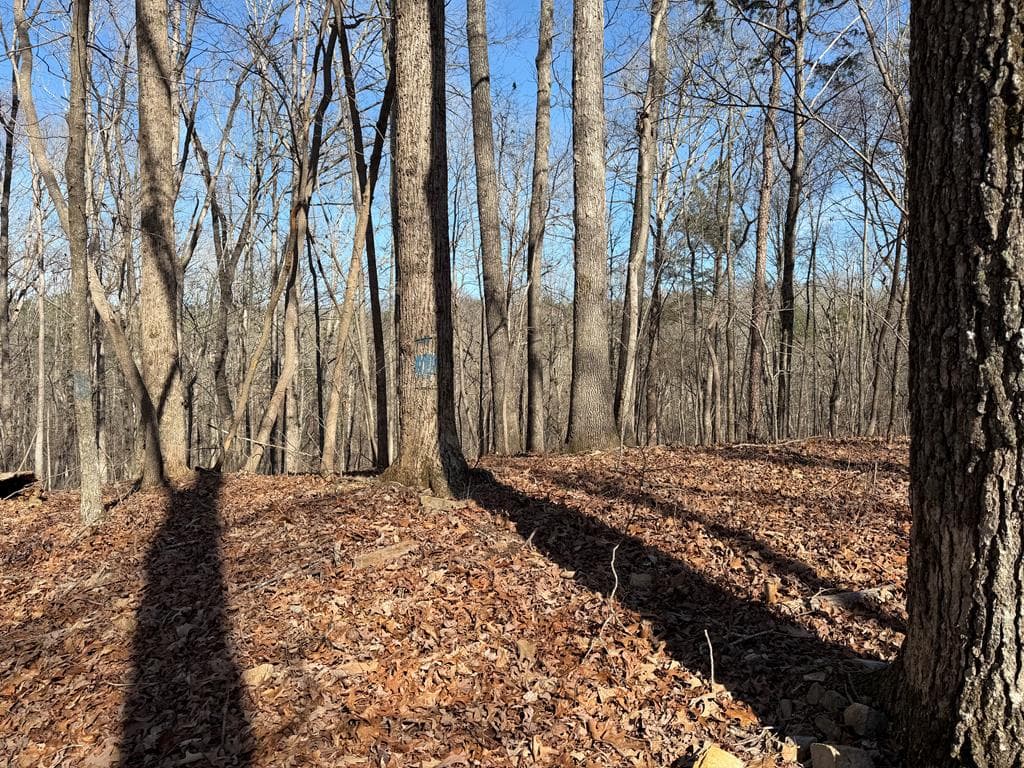 131 Nicholson Lane, Talking Rock GA 30175 - Photo