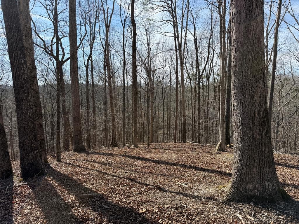 131 Nicholson Lane, Talking Rock GA 30175 - Photo