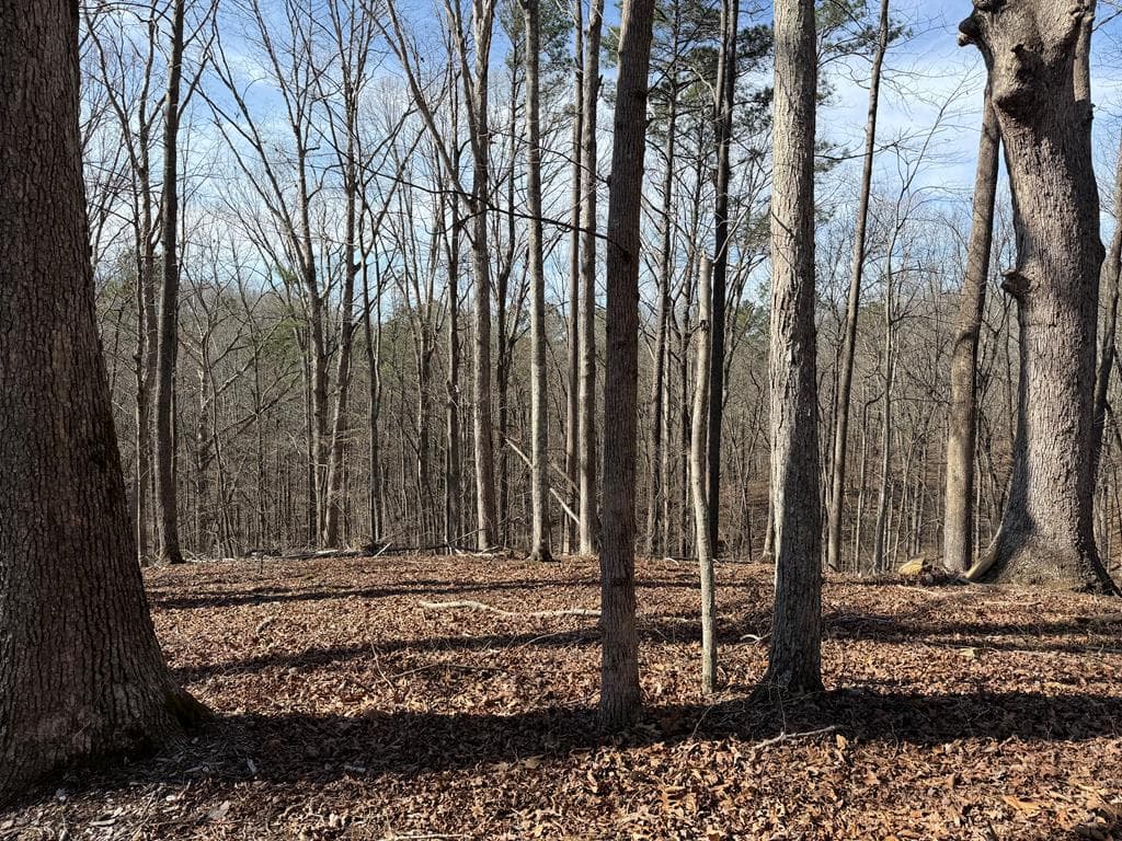 131 Nicholson Lane, Talking Rock GA 30175 - Photo