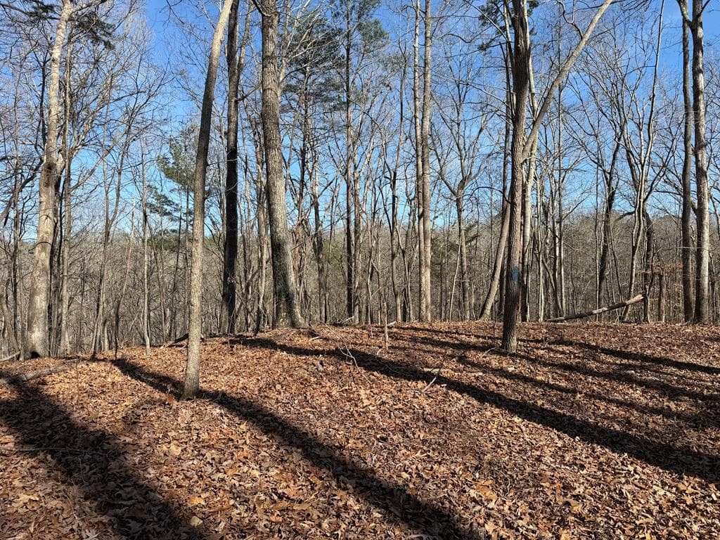 131 Nicholson Lane, Talking Rock GA 30175 - Photo
