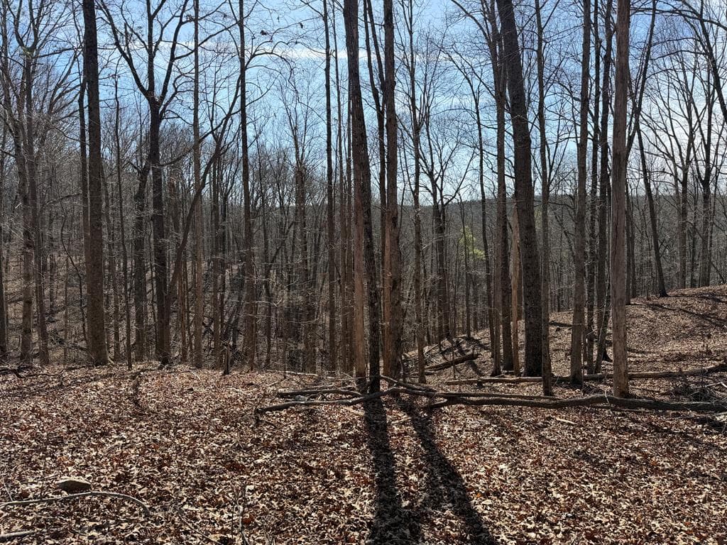 131 Nicholson Lane, Talking Rock GA 30175 - Photo