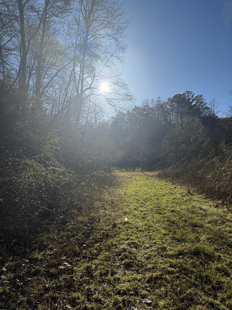 0 Blue Arrow Lane, Mineral Bluff GA 30559 - Photo