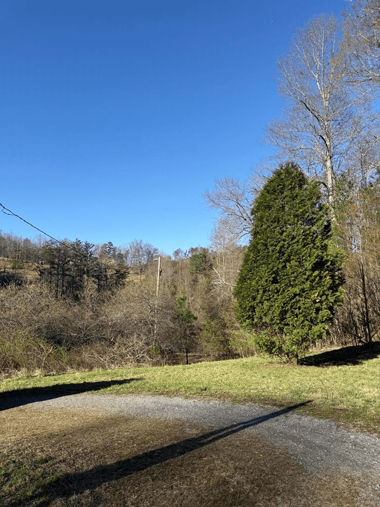 0 Blue Arrow Lane, Mineral Bluff GA 30559 - Photo