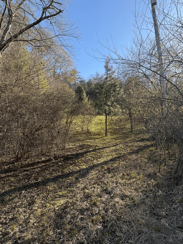 0 Blue Arrow Lane, Mineral Bluff GA 30559 - Photo