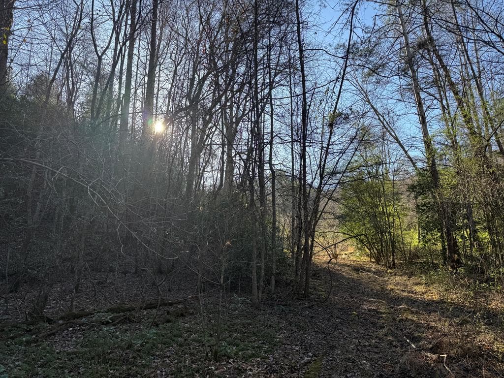 0 Blue Arrow Lane, Mineral Bluff GA 30559 - Photo