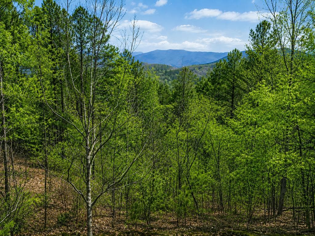 851 Stansbury Mountain Road, Copperhill TN 37317 - Photo