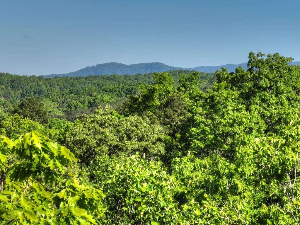 Lot 41 Ridge Drive, Morganton GA 30560 - Photo