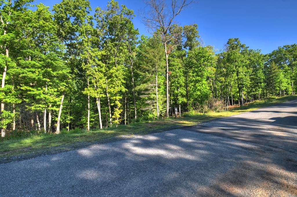 Lot 41 Ridge Drive, Morganton GA 30560 - Photo