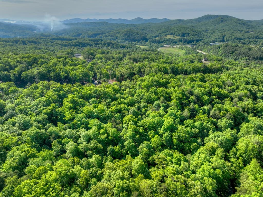 Lot 41 Ridge Drive, Morganton GA 30560 - Photo