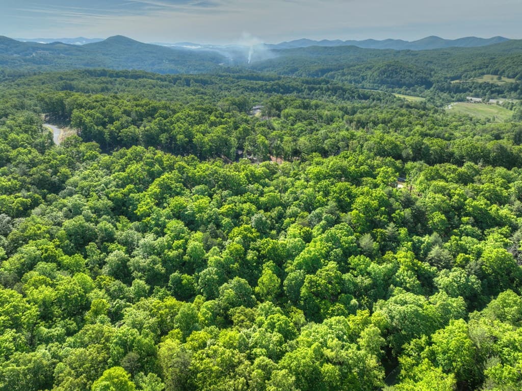 Lot 41 Ridge Drive, Morganton GA 30560 - Photo