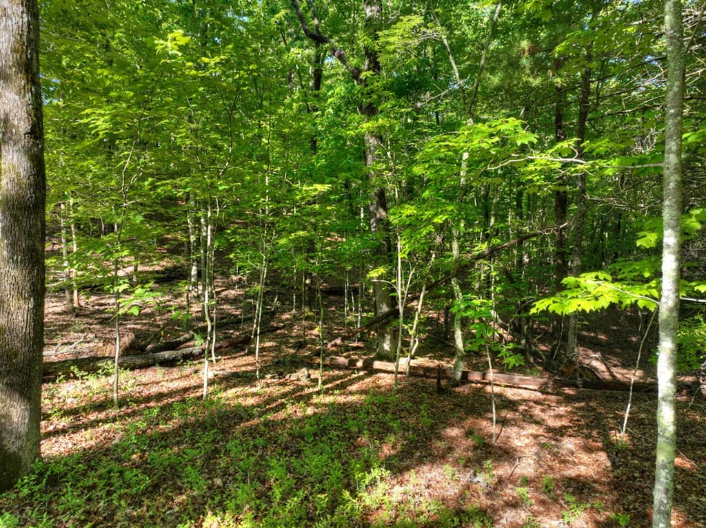 Lot 41 Ridge Drive, Morganton GA 30560 - Photo