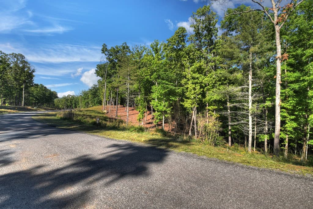 Lot 41 Ridge Drive, Morganton GA 30560 - Photo