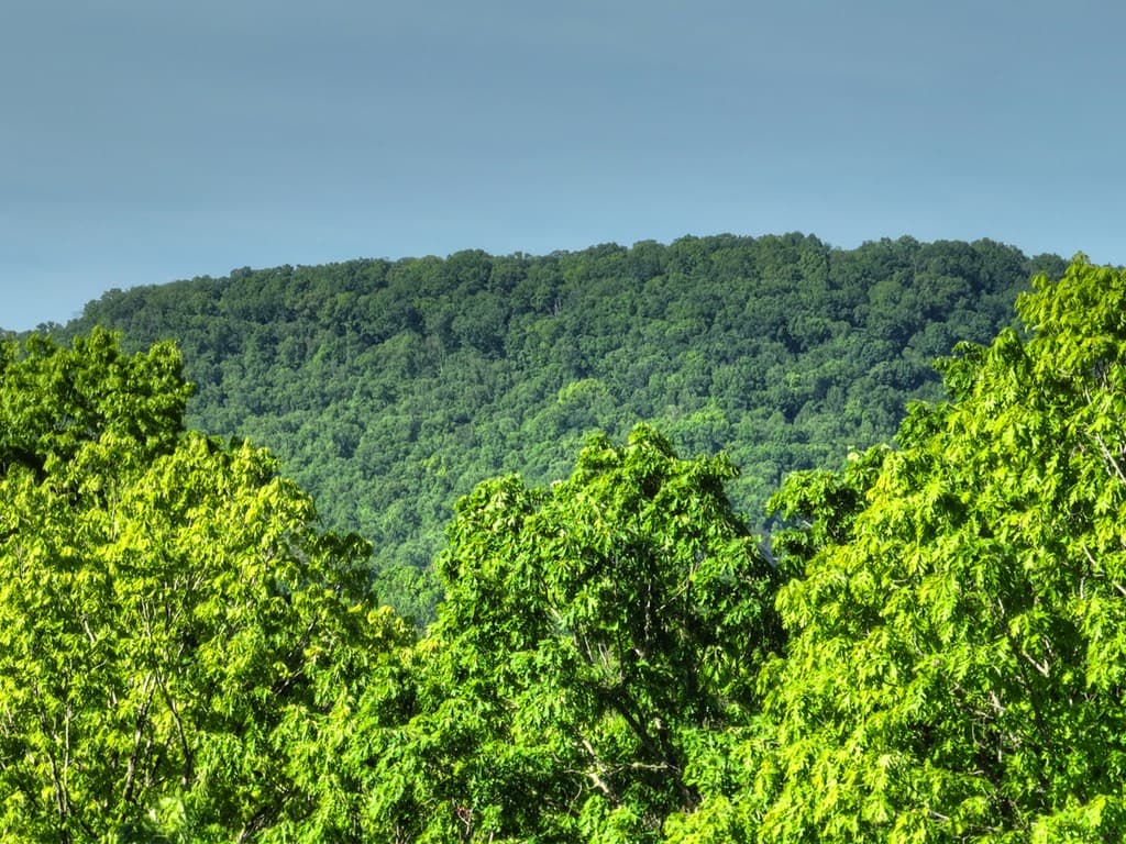 Lot 41 Ridge Drive, Morganton GA 30560 - Photo