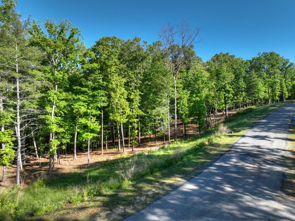 Lot 41 Ridge Drive, Morganton GA 30560 - Photo