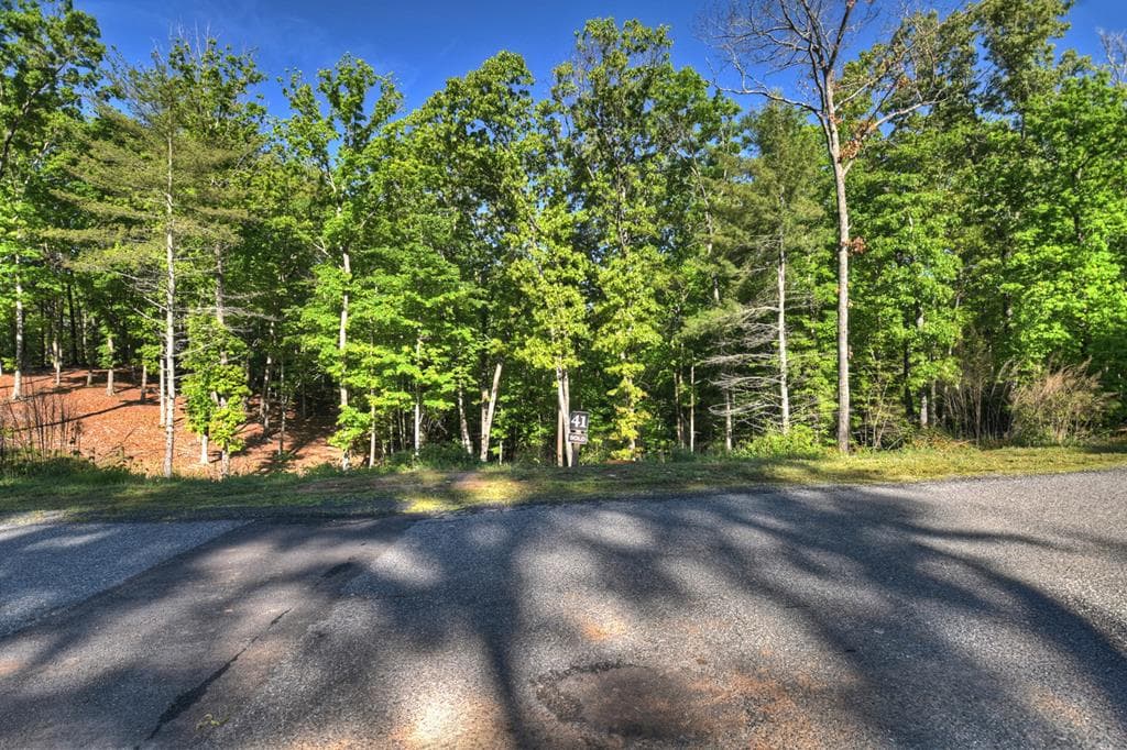 Lot 41 Ridge Drive, Morganton GA 30560 - Primary photo