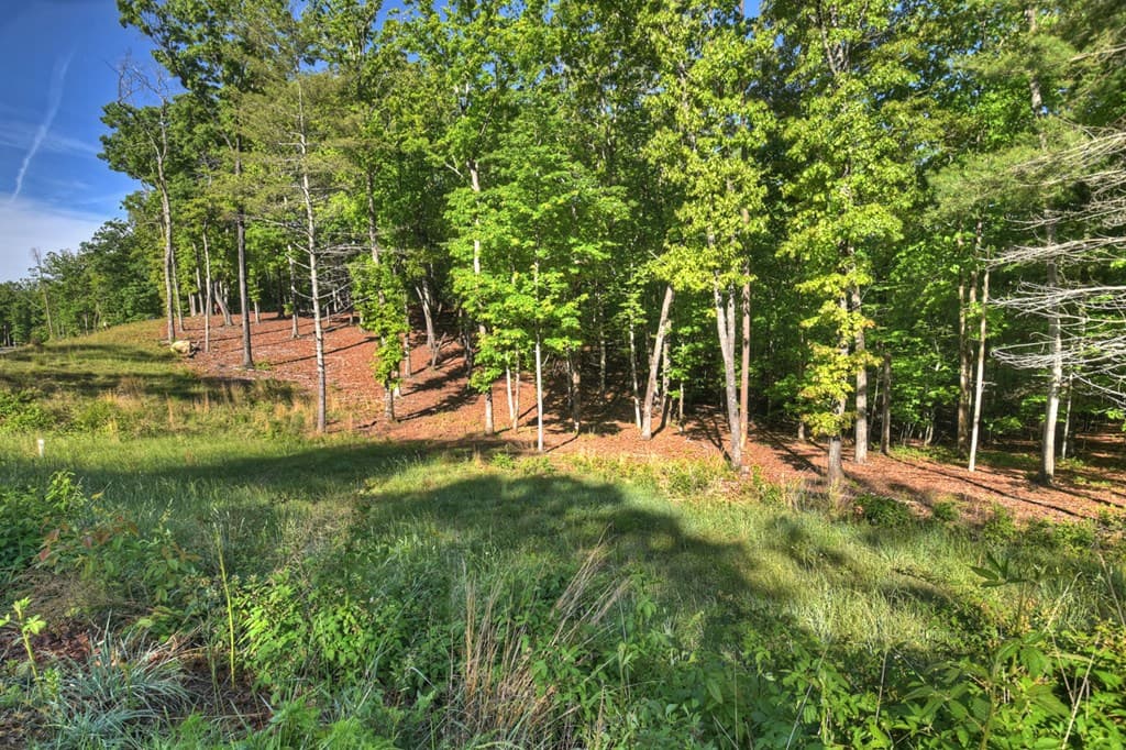 Lot 41 Ridge Drive, Morganton GA 30560 - Photo