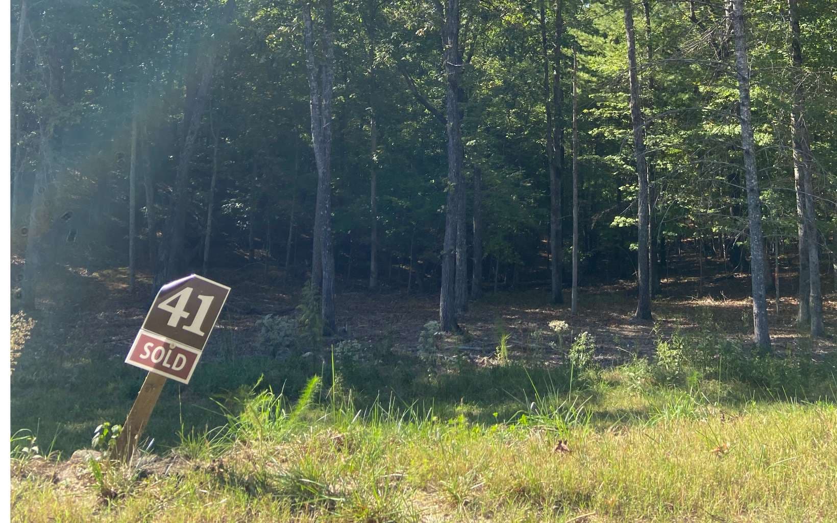 Lot 41 Ridge Drive, Morganton GA 30560 - Photo