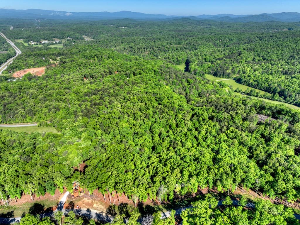 Lot 41 Ridge Drive, Morganton GA 30560 - Photo