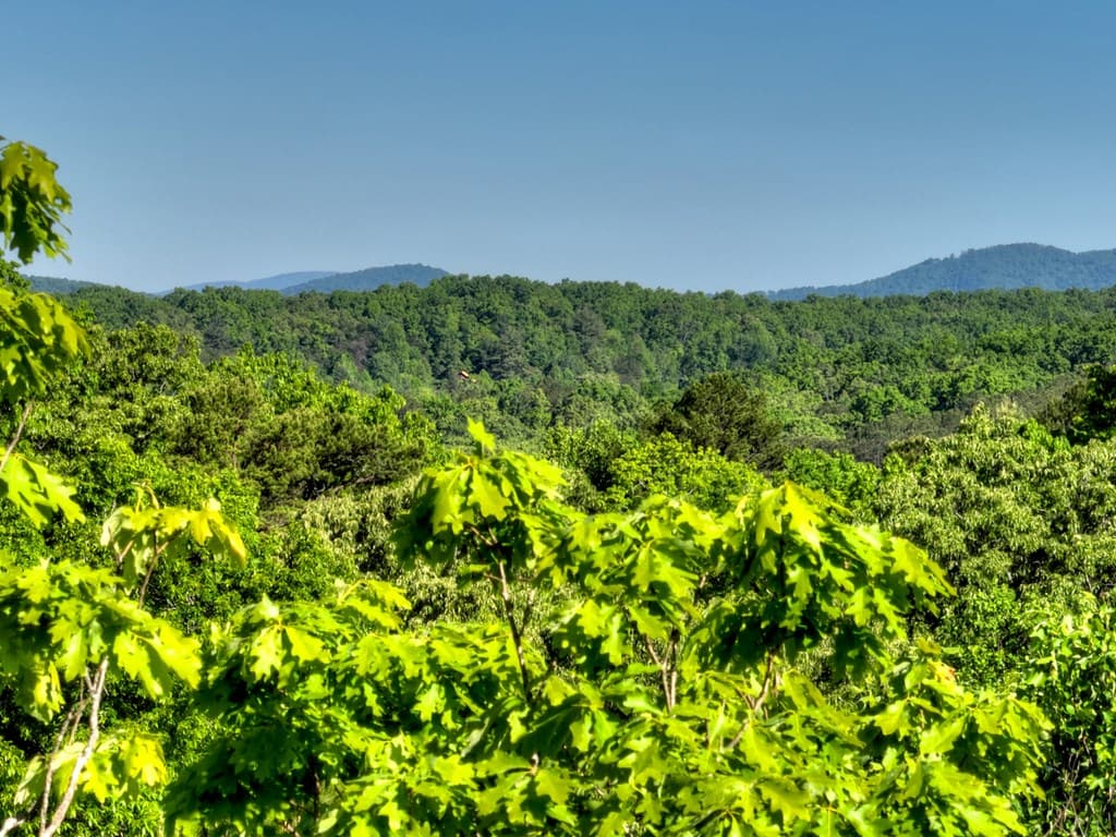 Lot 41 Ridge Drive, Morganton GA 30560 - Photo