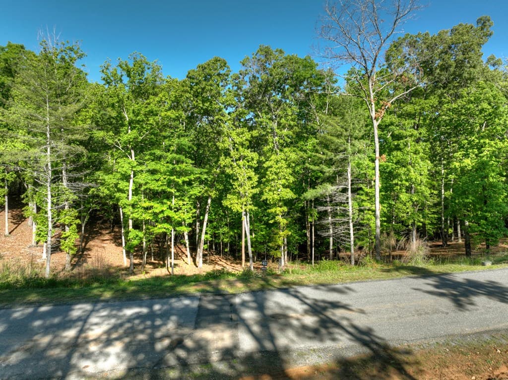 Lot 41 Ridge Drive, Morganton GA 30560 - Photo