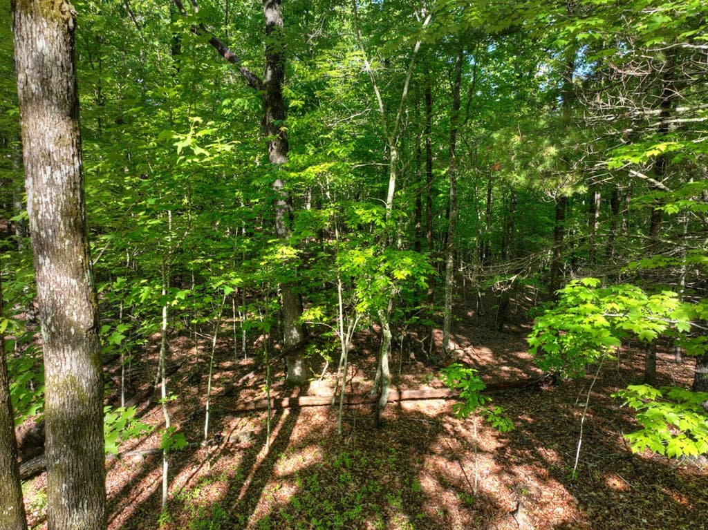 Lot 41 Ridge Drive, Morganton GA 30560 - Photo