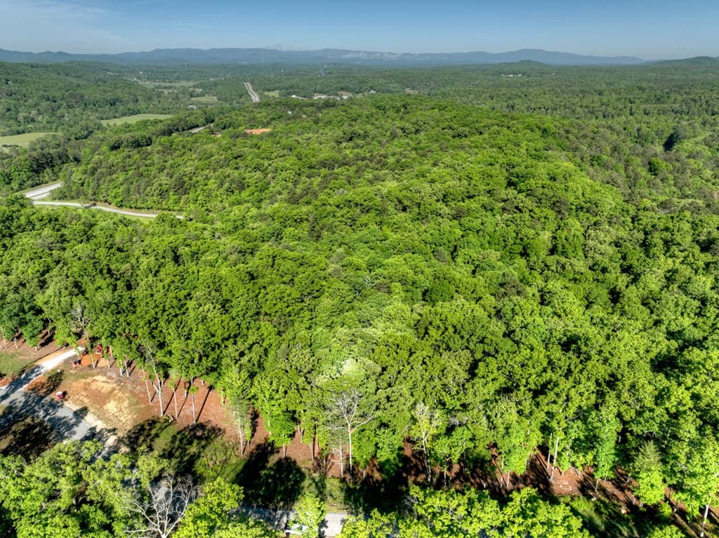 Lot 41 Ridge Drive, Morganton GA 30560 - Photo