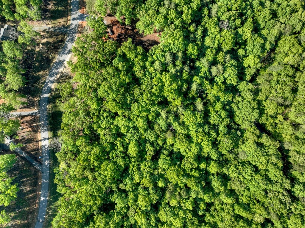 Lot 41 Ridge Drive, Morganton GA 30560 - Photo
