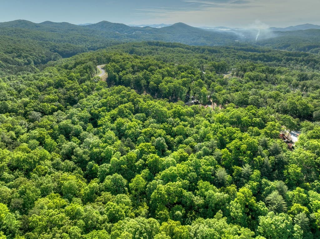 Lot 41 Ridge Drive, Morganton GA 30560 - Photo